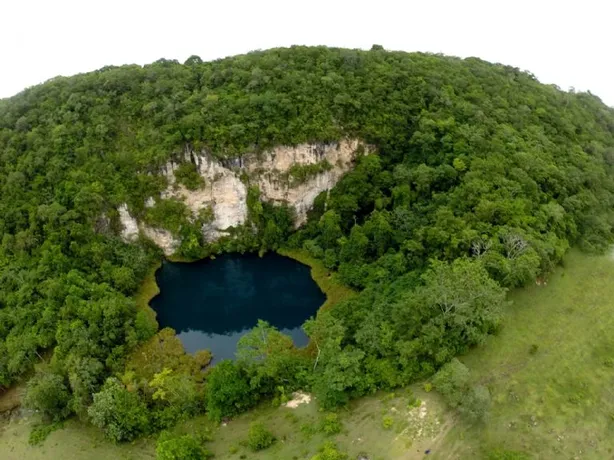 Cenote Cocodrilo Dorado